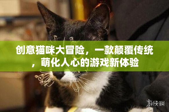 萌寵奇遇，創(chuàng)意貓咪大冒險的顛覆性游戲新體驗