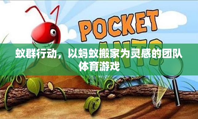 蟻群行動，以螞蟻搬家為靈感的團(tuán)隊體育游戲