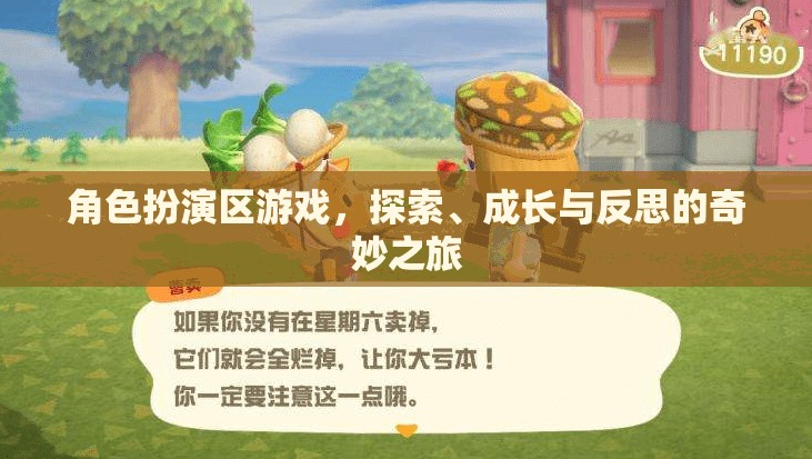 角色扮演區(qū)，探索、成長與反思的奇妙游戲之旅