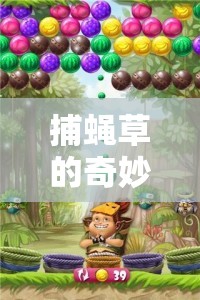 捕蠅草的奇妙冒險，開啟兒童體育新紀元