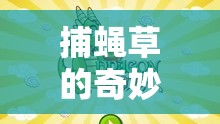 捕蠅草的奇妙冒險，開啟兒童體育新紀元