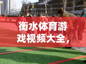 傳統(tǒng)與現(xiàn)代交融，衡水體育游戲視頻大全的娛樂盛宴