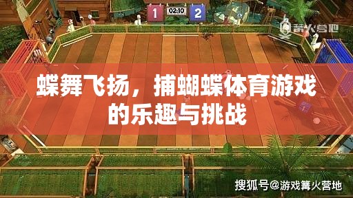 蝶舞飛揚(yáng)，捕蝴蝶體育游戲的樂(lè)趣與挑戰(zhàn)
