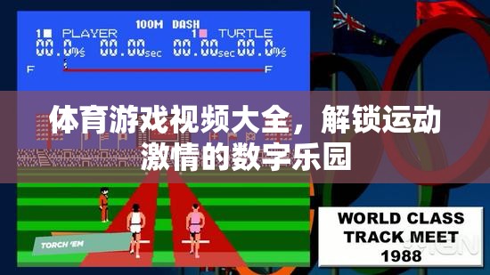 解鎖運(yùn)動激情，體育游戲視頻大全的數(shù)字樂園