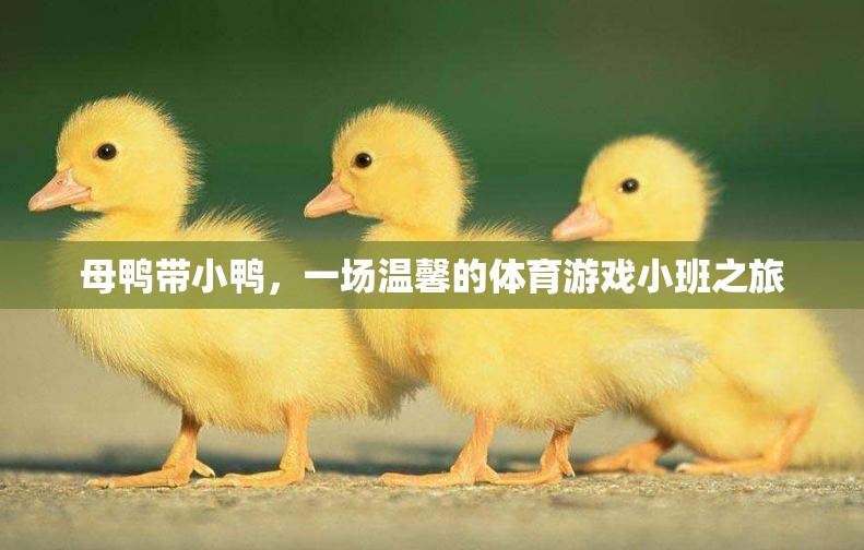 母鴨帶小鴨，一場溫馨的體育游戲小班之旅