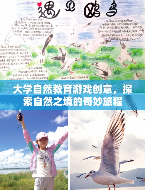自然探索，大學(xué)自然教育游戲的奇妙旅程