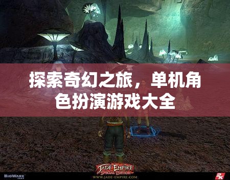 探索奇幻之旅，單機(jī)角色扮演游戲大全