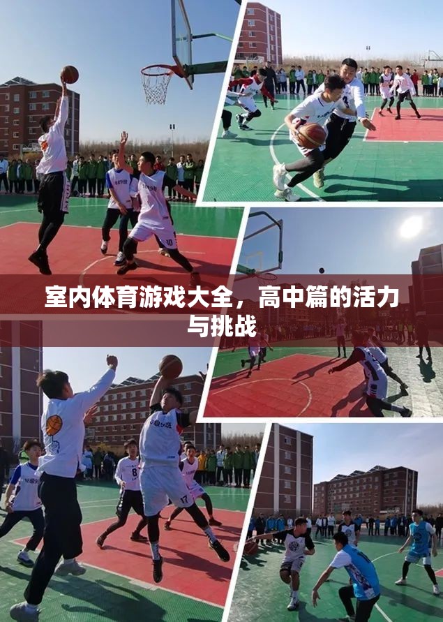 高中室內(nèi)體育游戲大全，活力與挑戰(zhàn)的完美融合