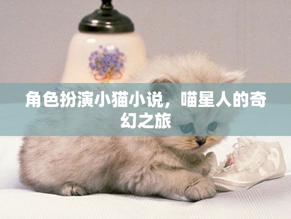 喵星奇緣，小貓的奇幻旅程