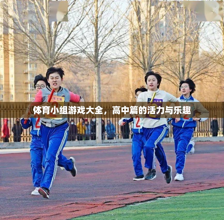 高中體育小組游戲大全，激發(fā)活力與樂趣的創(chuàng)意集錦