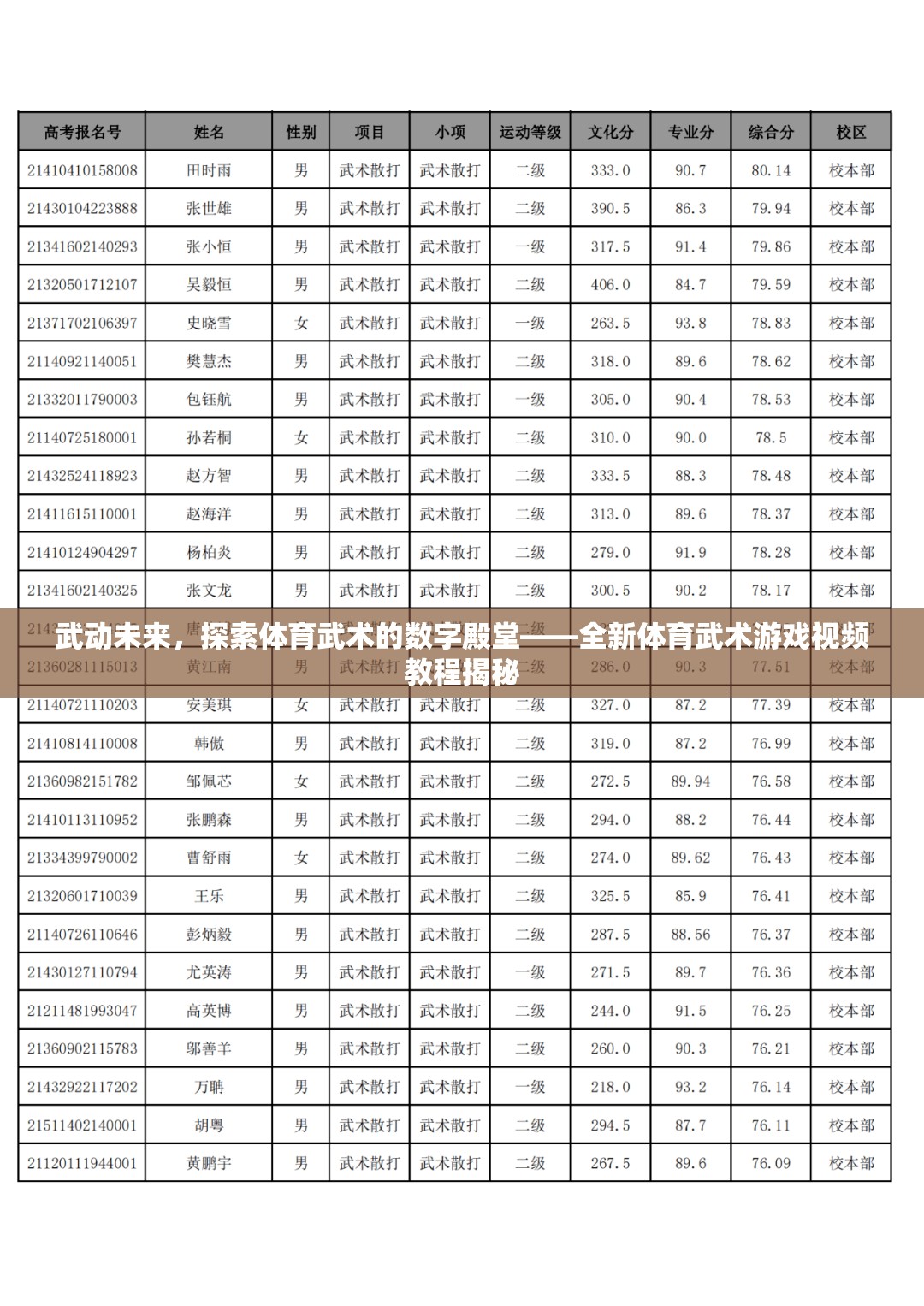 武動(dòng)未來，探索體育武術(shù)的數(shù)字殿堂——全新體育武術(shù)游戲視頻教程揭秘