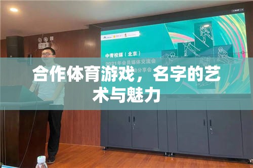 合作體育游戲，名字的藝術(shù)與魅力