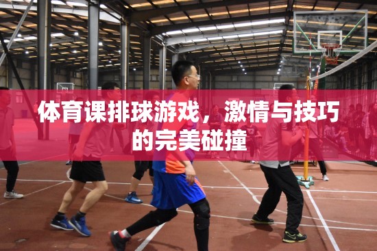 激情與技巧的碰撞，體育課上的排球游戲