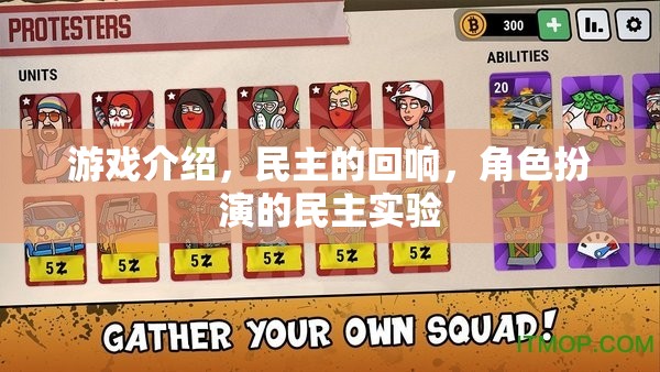 民主的回響，角色扮演中的民主實驗