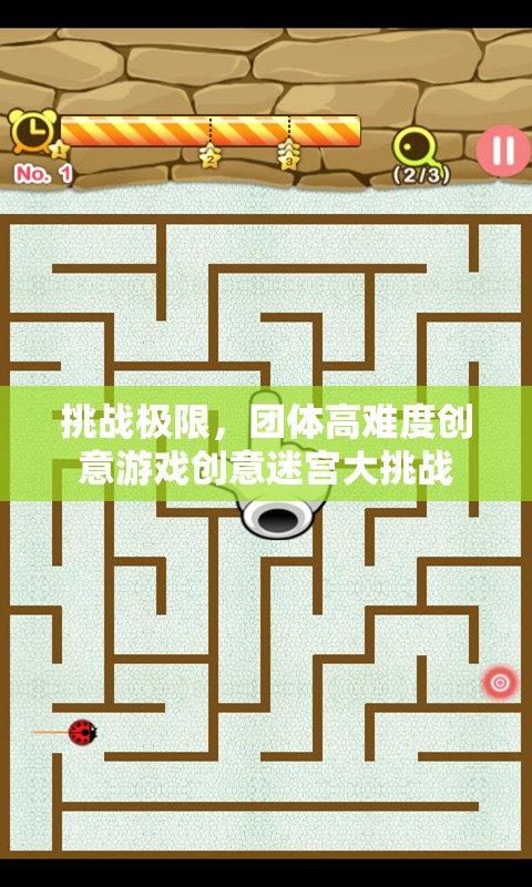 極限挑戰(zhàn)，團(tuán)體高難度創(chuàng)意迷宮大冒險