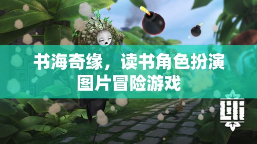 書海奇緣，角色扮演與圖片冒險(xiǎn)的閱讀之旅