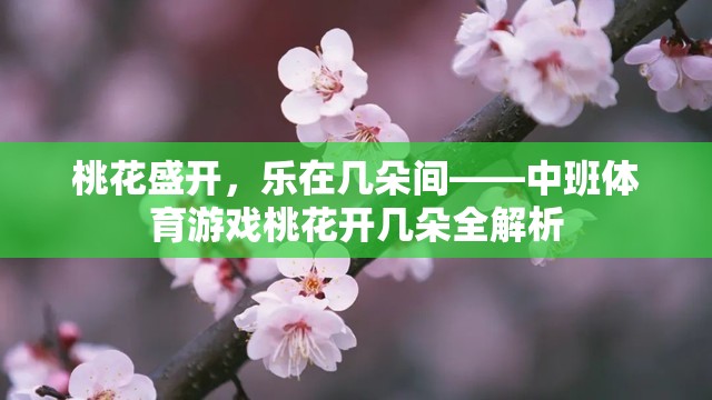 中班體育游戲桃花開幾朵，在桃花盛開中體驗樂趣的全面解析