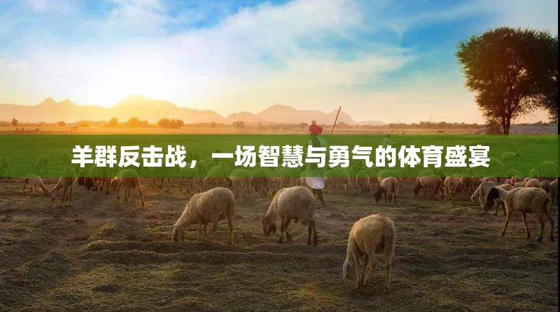 羊群反擊戰(zhàn)，智慧與勇氣的體育盛宴