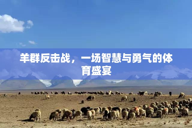 羊群反擊戰(zhàn)，智慧與勇氣的體育盛宴