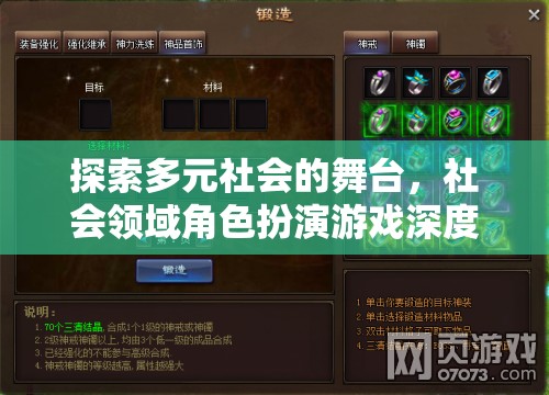 多元社會(huì)舞臺(tái)，社會(huì)領(lǐng)域角色扮演游戲的深度探索與解析