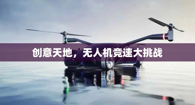創(chuàng)意天地，無人機(jī)競速大挑戰(zhàn)