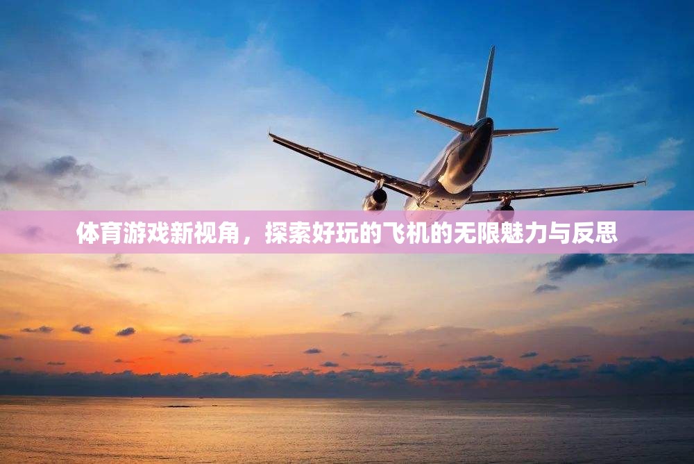 探索飛機(jī)魅力，體育游戲新視角下的無限可能與反思