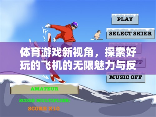 探索飛機(jī)魅力，體育游戲新視角下的無限可能與反思