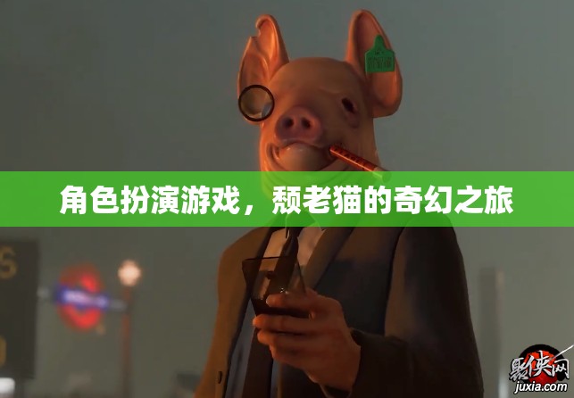 頹老貓的奇幻之旅，角色扮演的奇幻冒險(xiǎn)