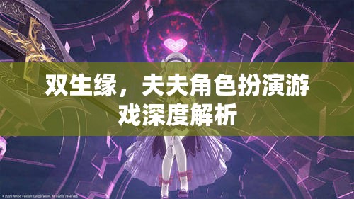雙生緣，夫夫角色扮演游戲的深度探索與解析