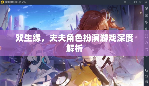 雙生緣，夫夫角色扮演游戲的深度探索與解析