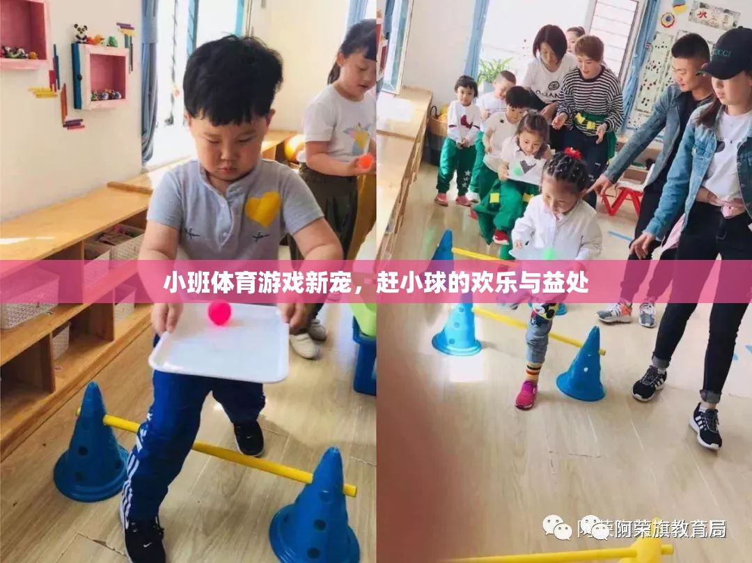 趕小球，小班體育游戲的新寵與歡樂(lè)益處
