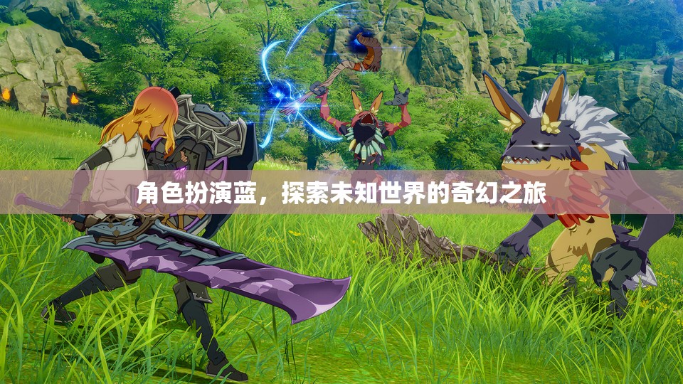 藍(lán)之奇幻，角色扮演的未知世界探索之旅  第3張
