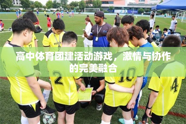 激情與協(xié)作，高中體育團建活動中的完美融合