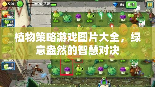綠意盎然的智慧對決，植物策略游戲圖片精選