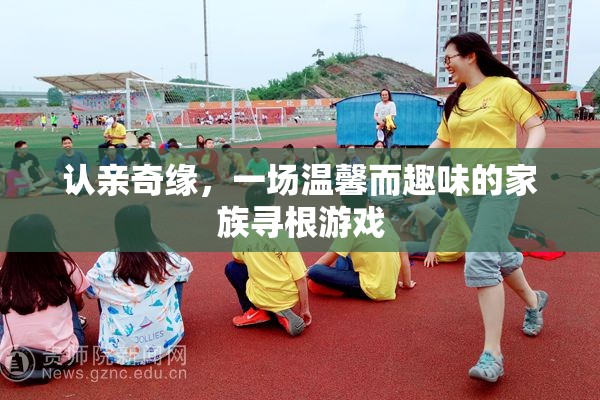 認親奇緣，家族尋根的溫馨趣味之旅