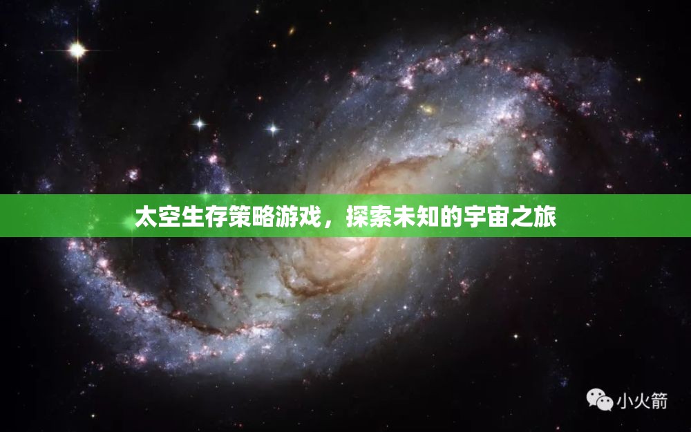 探索未知宇宙，太空生存策略游戲的冒險(xiǎn)之旅