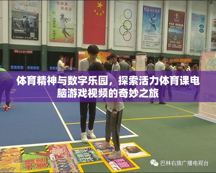 數(shù)字樂(lè)園中的體育精神，探索活力體育課電腦游戲視頻的奇妙之旅