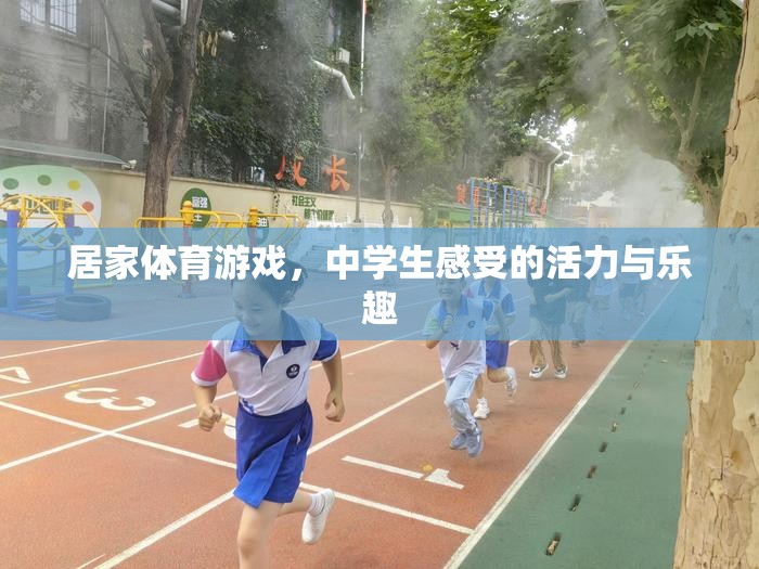 居家體育游戲，中學(xué)生感受的活力與樂(lè)趣