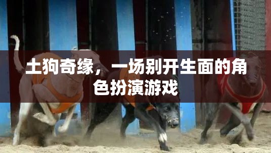 土狗奇緣，別開生面的角色扮演游戲