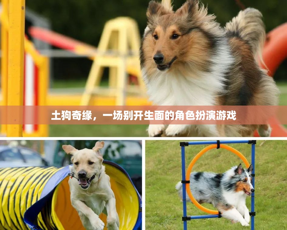 土狗奇緣，別開生面的角色扮演游戲