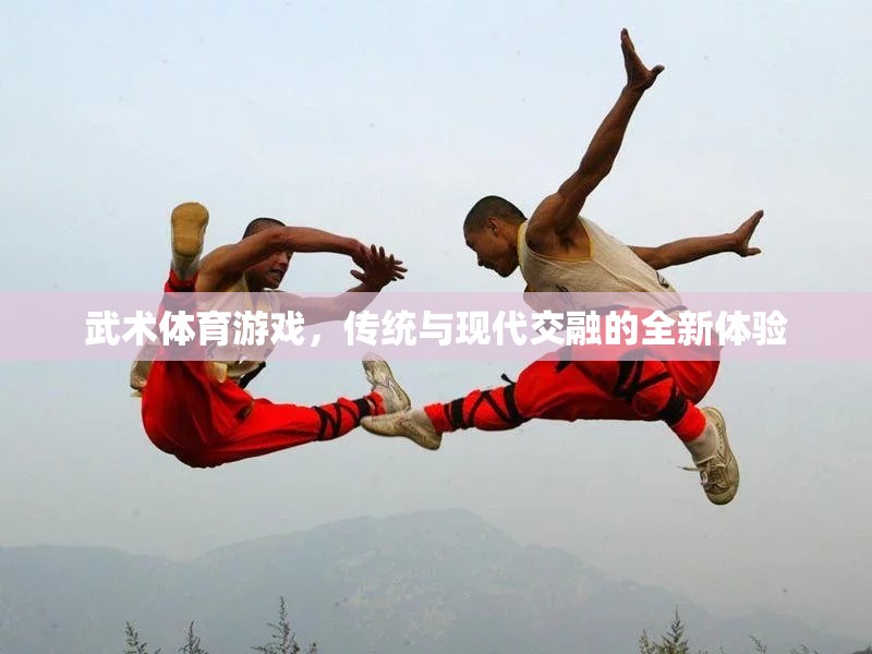 傳統(tǒng)與現(xiàn)代交融，武術(shù)體育游戲的全新體驗