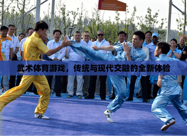 傳統(tǒng)與現(xiàn)代交融，武術(shù)體育游戲的全新體驗