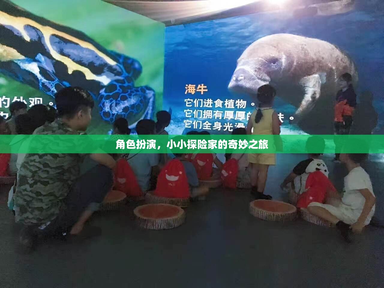 小小探險家，角色扮演的奇妙旅程