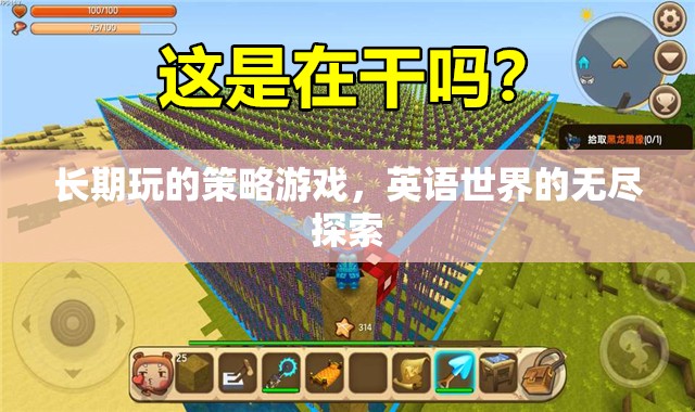 英語世界的無盡探索，長(zhǎng)期策略游戲的深度體驗(yàn)