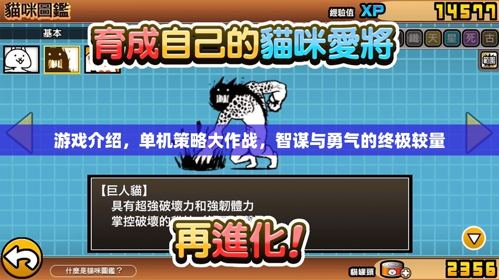 智勇雙全，單機策略大作戰(zhàn)的終極較量