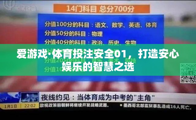 安全01，打造安心娛樂的智慧之選，愛游戲·體育投注的智慧之選