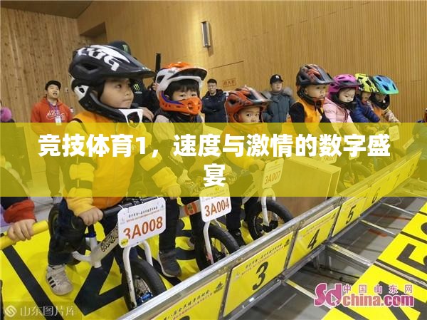 速度與激情的數(shù)字盛宴，競技體育的魅力
