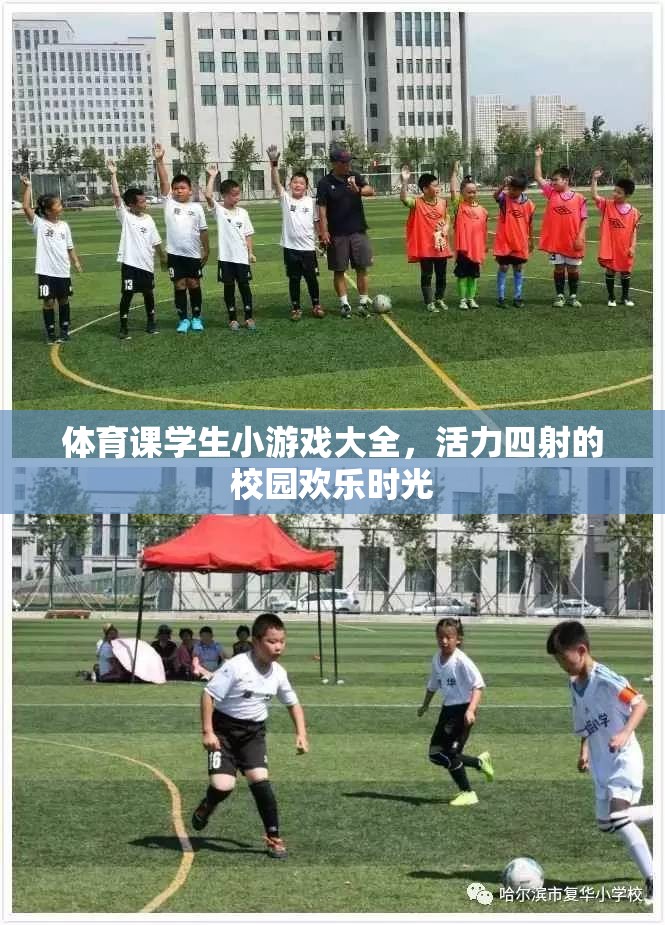 活力四射的校園歡樂時光，體育課學(xué)生小游戲大全