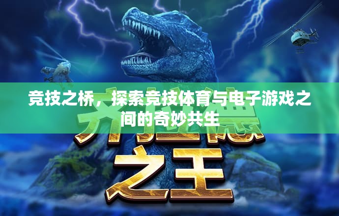 競技之橋，探索競技體育與電子游戲之間的奇妙共生