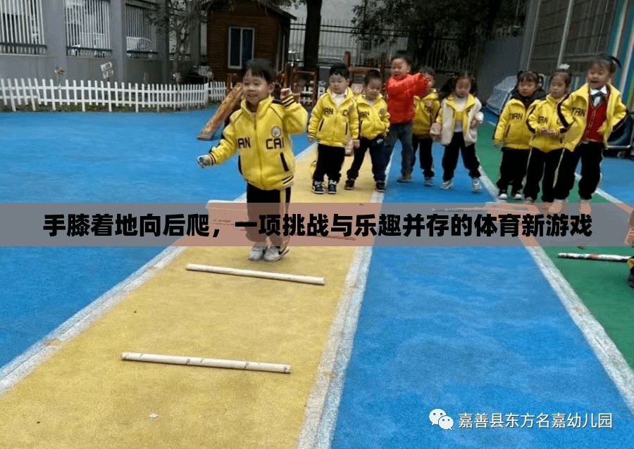 手膝后爬，挑戰(zhàn)與樂趣并存的體育新游戲  第2張